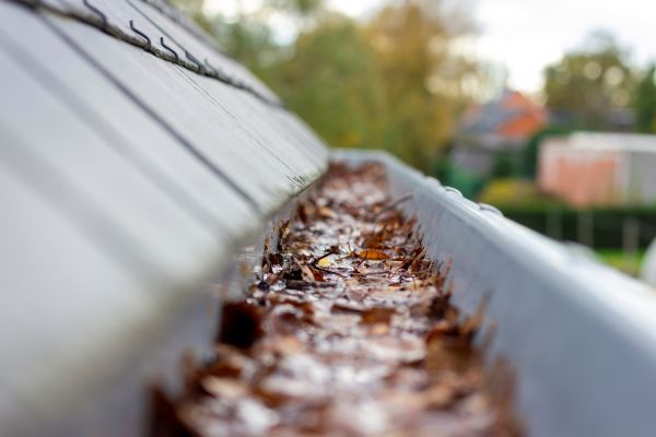 Commercial Gutter Cleaning in Summerville