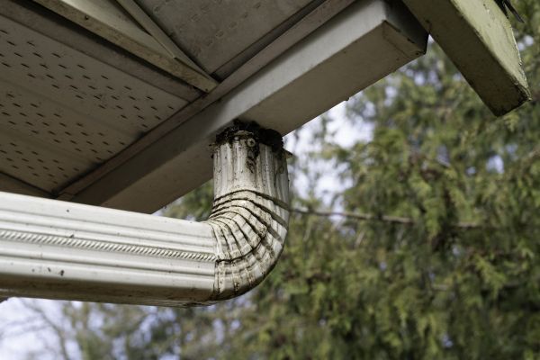 Downspout Cleaning in Summerville