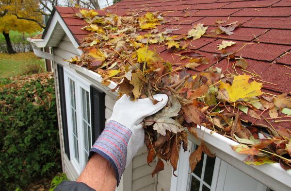 Rain Gutter Cleaning Service in Summerville