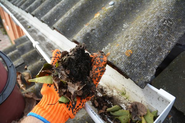 Seamless Gutter Cleaning in Summerville