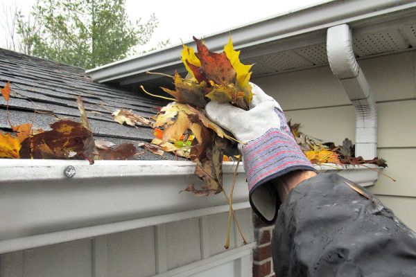 Leaf Gutter Cleaning in Summerville