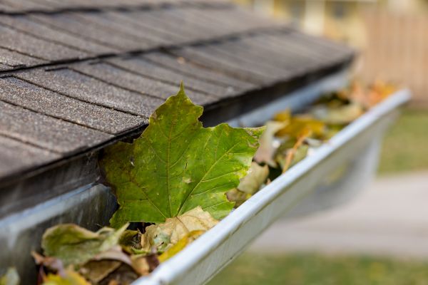 Commercial Downspout Cleaning in Summerville