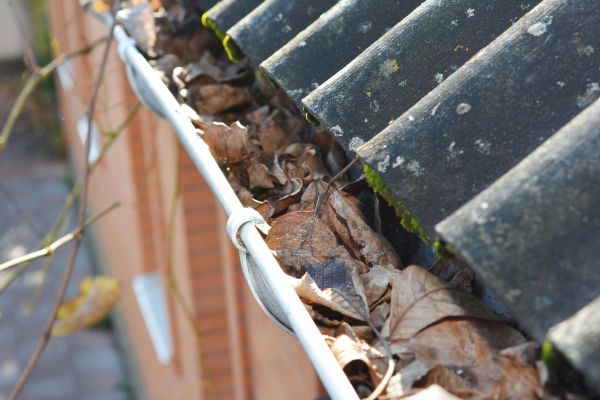 Home Gutter Cleaning in Summerville