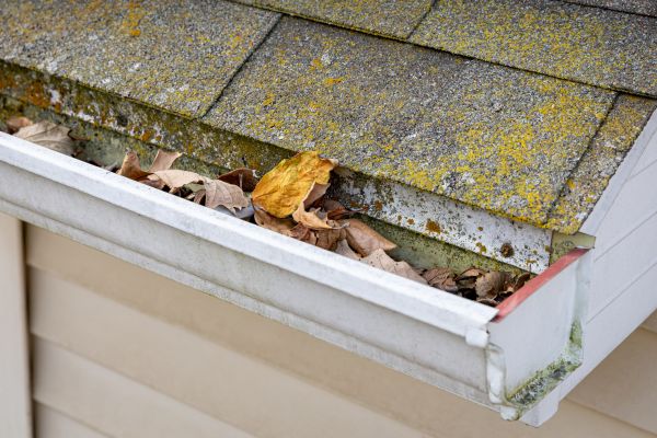 Cost of Garage Gutter Cleaning in Summerville