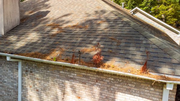 Cost of Gutter Pine Needle Removal in Summerville