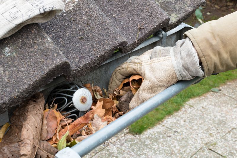 Clogged Gutter Debris