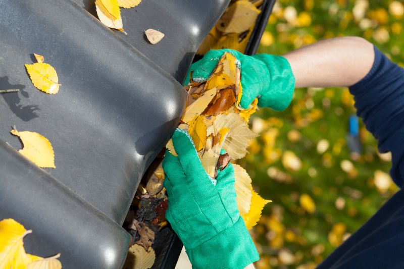 Gutter Drain Maintenance