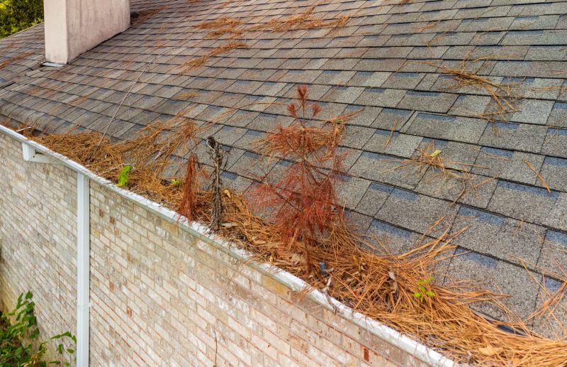 Pine Needle Gutter Cleaning